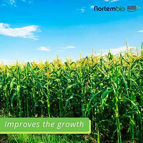 Nortembio Agro Sulfato de Magnesio Natural 700 g. Abono de Uso Universal. Favorece el Crecimiento de Cultivos, Jardines, Plantas de Interior y Exterior.