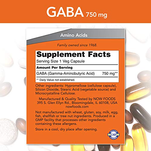 Now Foods GABA 750mg (100) 100 g 100 Unidades