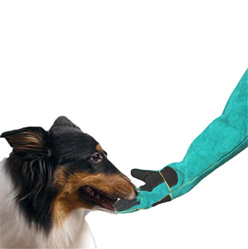 One of ten million to meet you Espesar los Guantes Anti-mordedores para Mascotas Guantes de protección Impermeables y Resistentes a Las puñaladas,Green