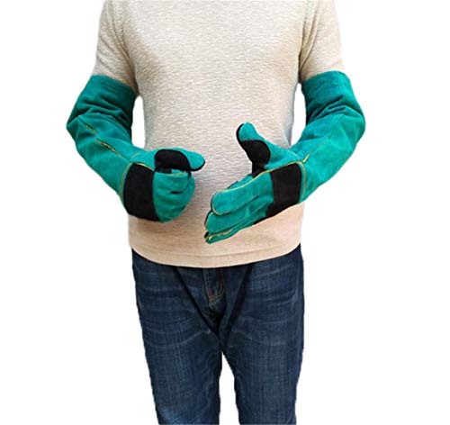 One of ten million to meet you Espesar los Guantes Anti-mordedores para Mascotas Guantes de protección Impermeables y Resistentes a Las puñaladas,Green