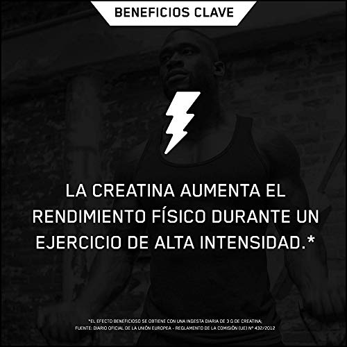 Optimum Nutrition ON Creatina Monohidrato Micronizada, Creatine en Polvo, Suplementos Deportivos para Musculacion, Sin Sabor, 88 Porciones, 317g