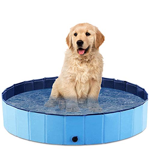 O'woda Piscina para Perros, Mascotas, Plegable Bañera de Perros, PVC Antideslizante y Resistente, con Cepillo de Baño para Mascotas (S/80 * 80 * 20 cm)