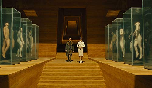 Pack: Blade Runner 2049 (4K + BD + BD Extras ) + Blade Runner (4K + 3 BD + 2 DVD Extras) [Blu-ray]