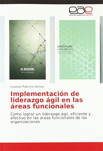 Palermo Gómez, G: Implementación de liderazgo ágil en las ár