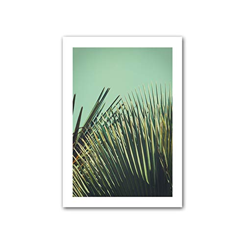 Palm Leaves Wall Art Pictures Posters And Prints Landscape Canvas Nordic bedroom Home Painting Decoration50x70 cm/19.7" x 27.6"x3Con marco