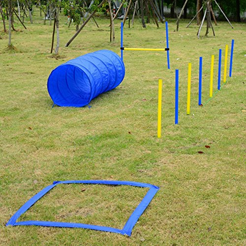 PawHut Set Entrenamiento Agility Agilidad Perros Salto Tunel y Slalom Azul Amarillo NUE