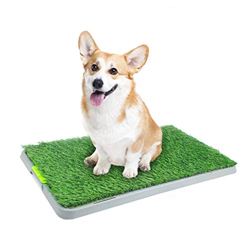 PAWISE Pet Park Deluxe - Inodoro para Interior para Perros, Bandeja para Cachorros, Almohadilla de Entrenamiento para Cachorros, Almohadilla para orinar con césped Artificial y cajón portátil