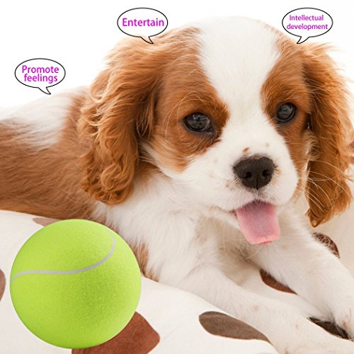 Pelota de tenis XXXL de Ardisle para mascotas, perros, cachorros (24 cm)