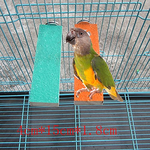 Perch Plataforma de madera Bird Parrot Macaw africana Greys Budgies Periquitos Cockatiels Conure loro Agapornis accesorios Jaula de Pájaros-E001