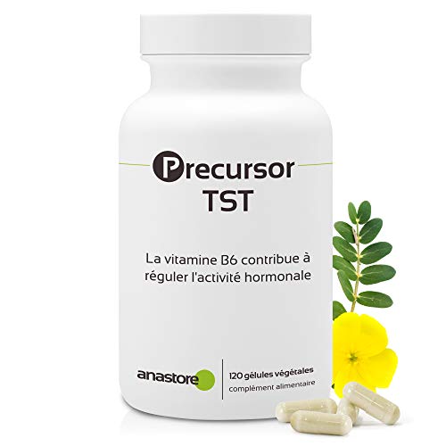 PRECURSOR TST * 120 cápsulas * Energia, Equilibrio emocional, Inmunitario, Peso, Rendimiento deportivo, Vitalidad