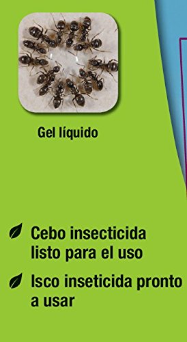 PROTECT HOME Antihormigas Cebo en Gel contra Hormigas para Interiores, rápida acción y Altamente Atractivo, 4 gr, Azul