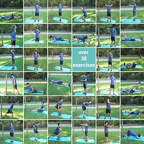 PULLUP & DIP Banda Elástica de Resistencia, Banda de Dominadas, Bandas Fitness, Pull-up Bands (Extra Ligero (Rojo))