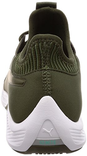 Puma Amp XT Wn's, Zapatillas de Deporte para Mujer, Gris (Laurel Wreath-Forest Night 03), 38 EU