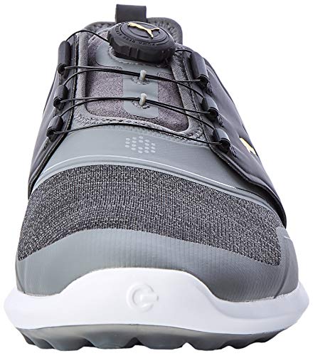 PUMA Ignite NXT Disc, Zapatos de Golf para Hombre, Negro (Quiet Shade Team Gold Black), 43 EU