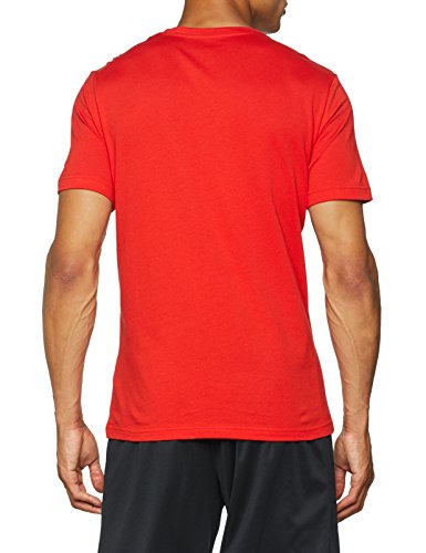 Reebok Qqr Linear Read Camiseta, Hombre, motred, XL