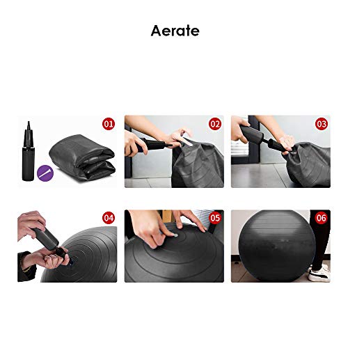 REEHUT Pelota de Ejercicio Anti-Burst para Yoga, Equilibrio, Fitness, Entrenamiento, incluidos Bomba y Manual de Usuario - Negro 65cm