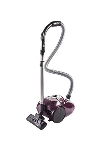 Rowenta Compact Power Morado RO3969EA - Aspirador trineo con bolsa de alta filtración y filtro permanente gran eficiencia, depósito de 3 L, cable de 6.2 m, accesorios de coche para más versatilidad