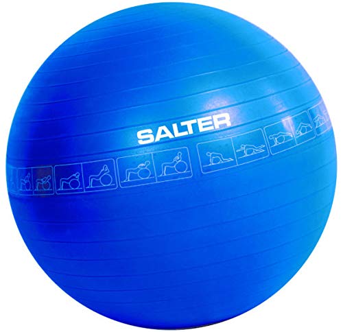 SALTER L-084 Balón Gigante Gym-Ball ø 65 cm.