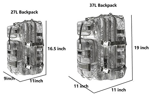 Seibertron Falcon Mochila Asalto Compacto Paquete Cumbre Bolsa Black 37L