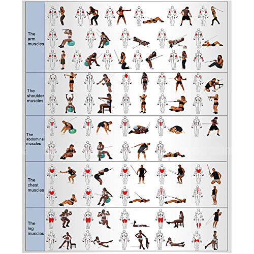 Tabla de MusculaciÓn Con Gomas Elasticas