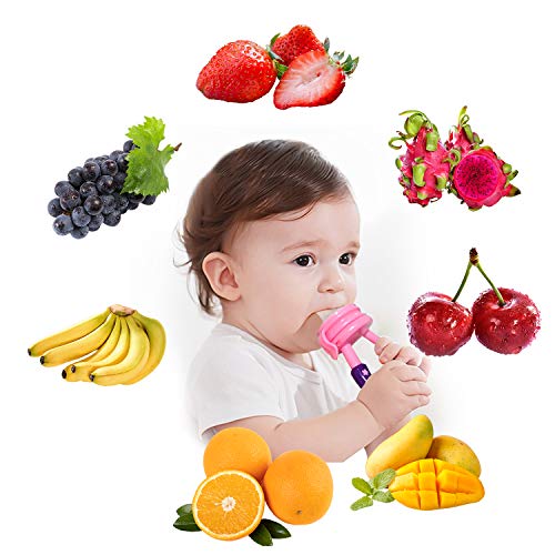 ShengRuHai Chupete fruta,1 Pieza Mordedor bebé con Cucharas de Alimentación para bebés 3 Pieza Funda de Silicona de repuesto(9 Piezas en Total)