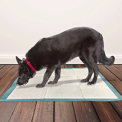 Simple Solution Almohadillas de Entrenamiento de Perro y Cachorro Premium (Pack de 100)