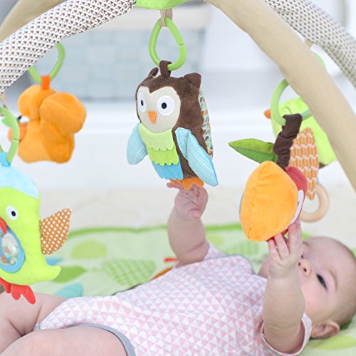 Skip Hop Treetop Friends - Gimnasio de actividades para bebé