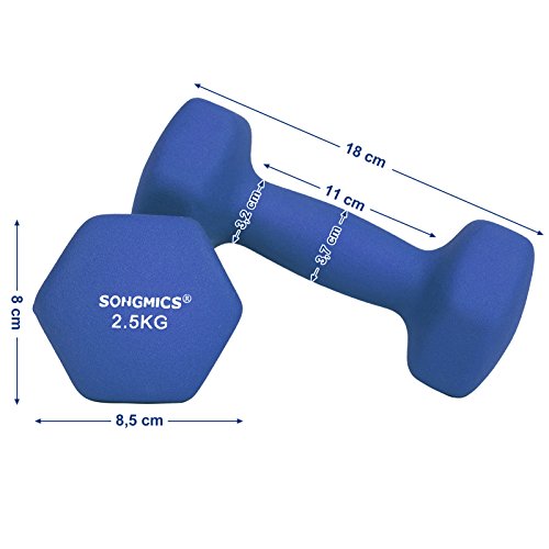 SONGMICS Juego de 2 Mancuernas para Gimnasio y Entrenamiento 2 x 2,5 kg SYL65BU