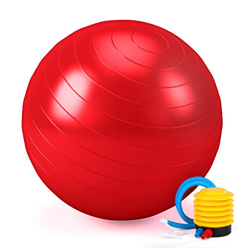 Switory Balón de Ejercicio Anti-explosión, Pelota de Pilates 55cm/65cm/75cm Fitness Yoga Pelota Estabilizador de Balón de Equilibrio Resistente con Bomba rápida para Core Force