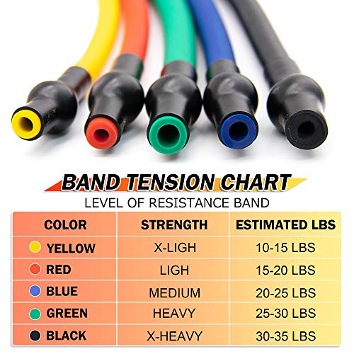 SYOSIN Elásticos de fitness, Banda de resistencia al ejercicio con tubo Profesional, Ideal for Physical Therapy, Strength Training, Muscle Toning, Bolsa de almacenamiento de anclaje de puerta incluida