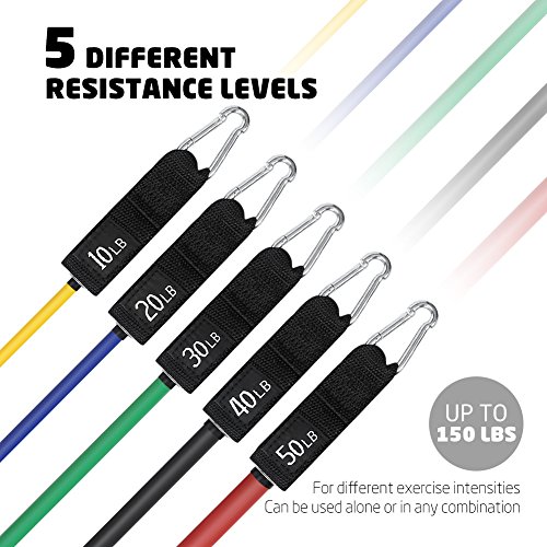 Terra Hiker Bandas Elasticas Resistencia, para Fitness/Gimnasio, hasta 68 kg (150lbs), Incluye 5 Bandas de Tubo, con Manija/Anclaje de Puerta