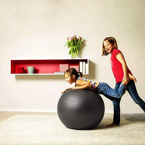 TOPLUS Pelota de Gimnasia Anti-Reventones Bola de Yoga Pilates y Ejercicio Balón para Sentarse Balon de Ejercicio para Fitness 300 kg con Bomba de Aire 65cm (Negro)