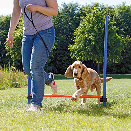 Trixie 3207 Vallas Agility, Regulable,129 x 115 cm, Azul y Naranja