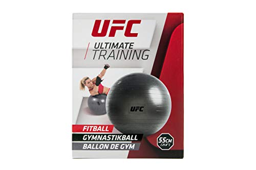 UFC Fitball, Unisex Adulto, Plata, Silver / 55cm