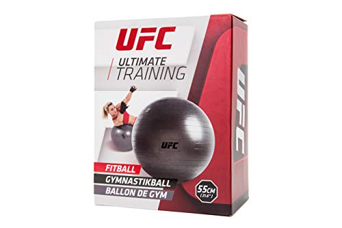 UFC Fitball, Unisex Adulto, Plata, Silver / 55cm