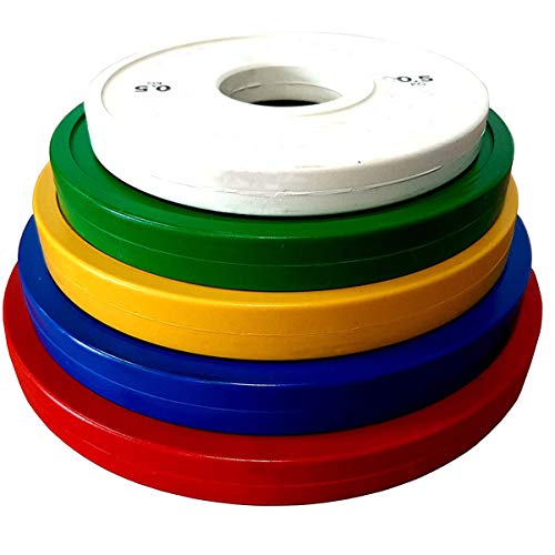 VAGAVDirect - Juego de 2 placas de peso fraccionales de colores, placas olímpicas de parachoques fraccionadas micropesos calibrados para pesas de 5 cm, 2 unidades, 0,5 kg, color blanco.