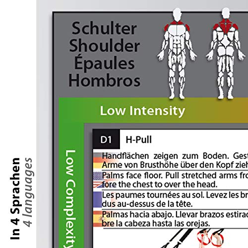 Variosling® Gran Póster/Cartel de Entrenamiento en Suspensión con 54 Ejercicios | Plan/Rutina/instrucción del Entrenamiento Funcional/Muscular | Dos Piezas (anverso y Dorso), tamaño A1