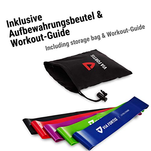VIA FORTIS Gomas elasticas Fitness Conjunto de 5 Bandas elasticas musculacion para su Entrenamiento en casa - con el Plan de Entrenamiento y la Bolsa