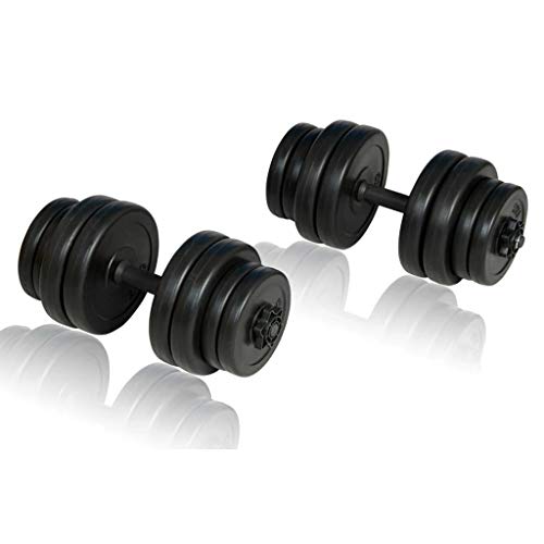 vidaXL Set de Pesas 2 Mancuernas 30kg Entrenamiento Fuerza Fitness Musculación