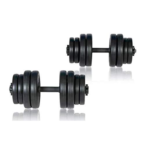 vidaXL Set de Pesas 2 Mancuernas 30kg Entrenamiento Fuerza Fitness Musculación