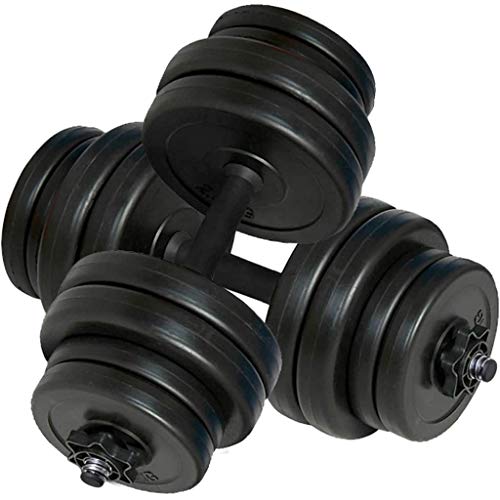vidaXL Set de Pesas 2 Mancuernas 30kg Entrenamiento Fuerza Fitness Musculación