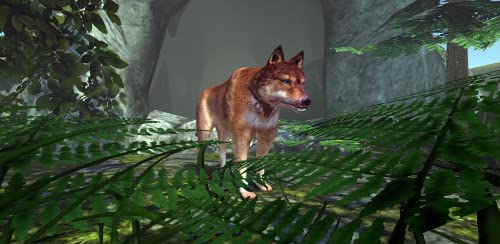 Wolf Simulator Evolution