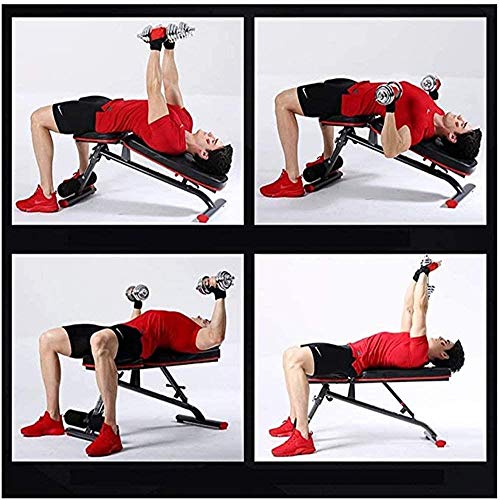 Woodtree Heces Abdominales Equipos de Gimnasia Asistente Bordo supina Asiento Banco Gimnasio Prensa heces