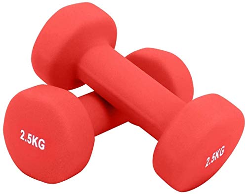 Woodtree Pesos de la Pesa de Neopreno Home Gym Fitness Pilates Mano Brazo Pesas Conjunto 0.5Kg 1Kg 1,5 kg 2,5 kg 2 kg 3 kg 4 kg 5 kg (par), Color: Púrpura-2 x 1,5 kg (Color : Red-2 x 2.5KG)