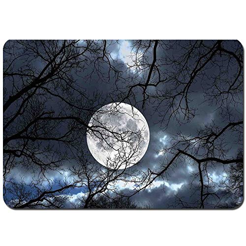 YANAIX Alfombra de Baño,Luna Llena en la Noche en el Bosque Horario de Invierno Días místicos dramáticos Foto Lunar,Súper Suave Multiuso Lavable a Máquina75x45cm