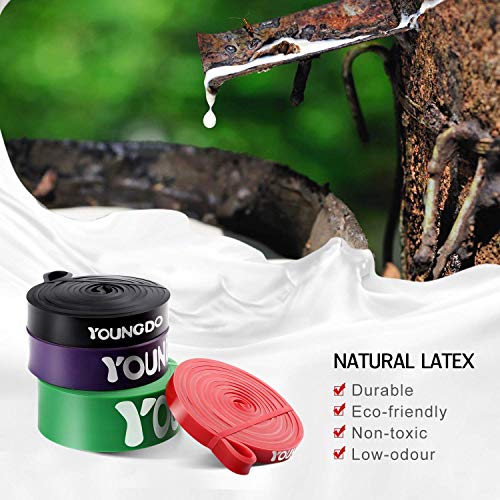 YOUNGDO Bandas de Resistencia Cintas Elásticas Fitness para Musculación, Yoga, Crossfit, Entrenamiento de Fuerza, Pilates, Fisioterapia Material de Látex (Negro+Rojo)