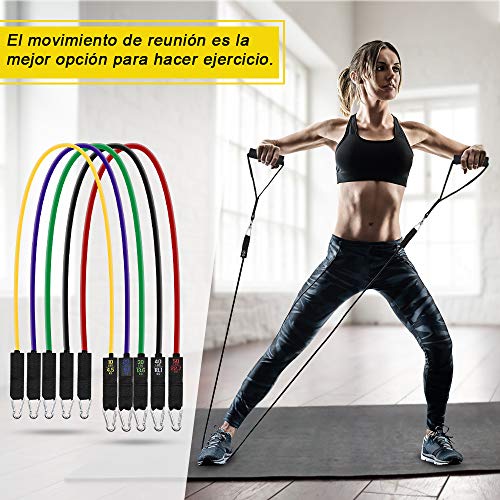 Zacro 16Pcs Bandas Elasticas Resistencia Fitness,5 Bandas Extra Adjunto,5 Bandas Tubo de Látex,Ancla de Puerta,Correas de Tobillo,Manual Manijas Asas para Fitness Entrenamiento Crossfit