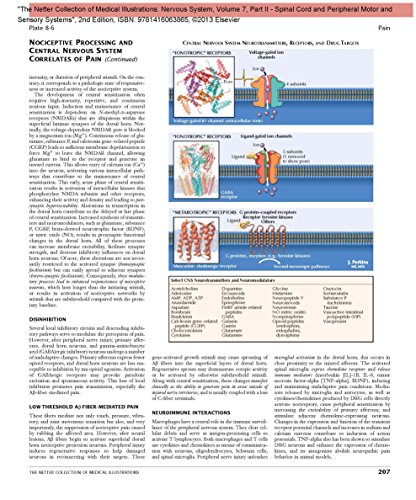 The Netter Collection of Medical Illustrations: Nervous System, Volume 7, Part II - Spinal Cord and Peripheral Motor and Sensory Systems, 2e: Nervous ... Sytems: 07 (Netter Green Book Collection)