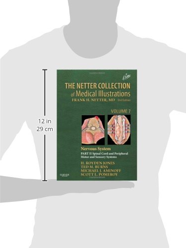The Netter Collection of Medical Illustrations: Nervous System, Volume 7, Part II - Spinal Cord and Peripheral Motor and Sensory Systems, 2e: Nervous ... Sytems: 07 (Netter Green Book Collection)